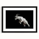 Framed wall art featuring a stylish black and white goat design from the "Animals: A Wild Life" collection, showcasing intricate details and modern aesthetics. Perfect for animal lovers and contemporary decor enthusiasts.