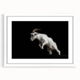 White-framed wall art featuring a stylized goat design from the "Animals - A Wild Life" collection, perfect for adding a touch of nature-themed decor to any room.
