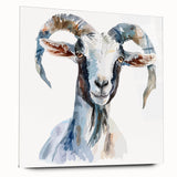 Acrylic glass wall art featuring a colorful goat design from the "A Wild Life" collection, showcasing vibrant colors and intricate details, perfect for animal lovers.