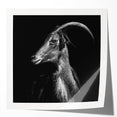 Goat-themed wall art design on a glossy canvas, showcasing vibrant colors and intricate details, ideal for animal lovers and home decor enthusiasts.