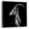 Framed canvas wall art featuring a striking goat design in a wild-life style, presented in a contemporary black frame, ideal for animal lovers and home decor enthusiasts.