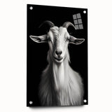 Acrylic wall art featuring a striking side view of a goat design, showcasing intricate details and vibrant colors, ideal for animal lovers and modern decor.