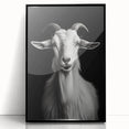 Framed acrylic wall art featuring a striking goat design from the "Animals - A Wild Life" collection, set in a sleek black frame, ideal for modern decor.