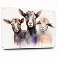 Acrylic glass wall art display showcasing a stylized goat design from the “Animals A Wild Life” collection, featuring vibrant colors and a modern aesthetic, ideal for animal lovers and home decor enthusiasts.