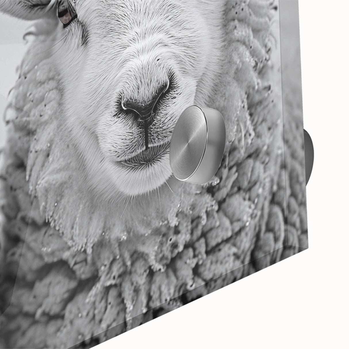 Close-up of a vibrant acrylic wall art piece featuring a detailed goat design, showcasing colorful patterns and textures, ideal for wildlife enthusiasts and modern decor.