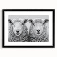 Framed wall art featuring a goat design from the "Animals: A Wild Life" collection, showcasing intricate details and a black mat, perfect for nature-themed decor.