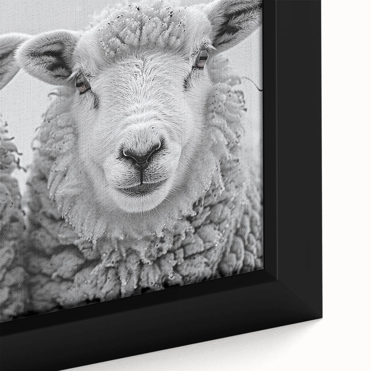 Close-up of a framed canvas wall art piece featuring a detailed goat design, showcasing intricate textures and natural colors, ideal for animal lovers and rustic decor.