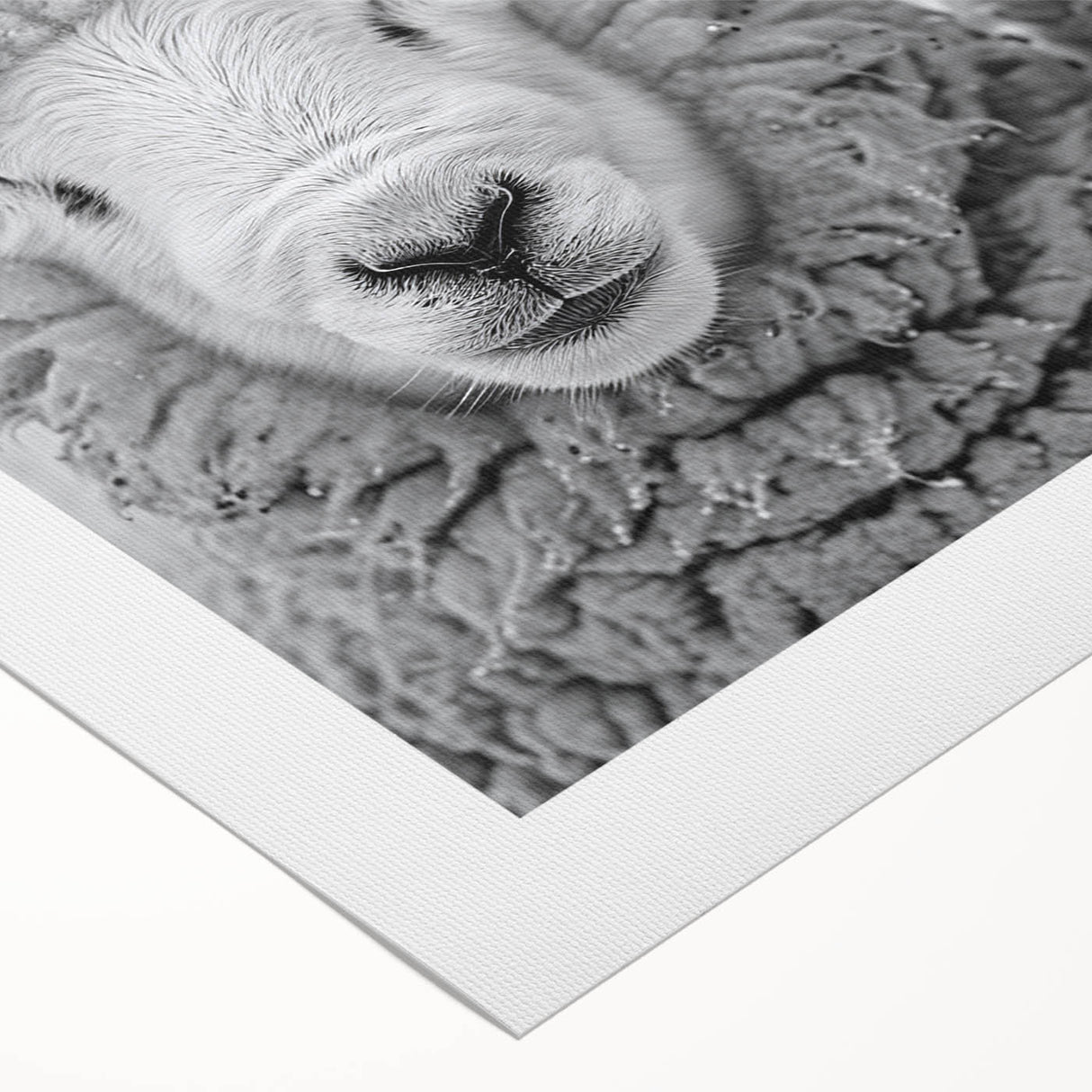 Rolled canvas wall art featuring a vibrant goat design, showcasing intricate patterns in earthy tones. Perfect for animal lovers and nature-inspired decor.