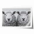 Vibrant rolled wall art print showcasing a whimsical goat design, perfect for animal lovers, with intricate details and rich colors, ready for framing.