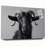 Acrylic glass wall art showcasing a vibrant goat design from the "Animals - A Wild Life" collection, featuring a sleek side view with decorative pins. Perfect for animal lovers and modern decor, it adds a unique touch to any space.