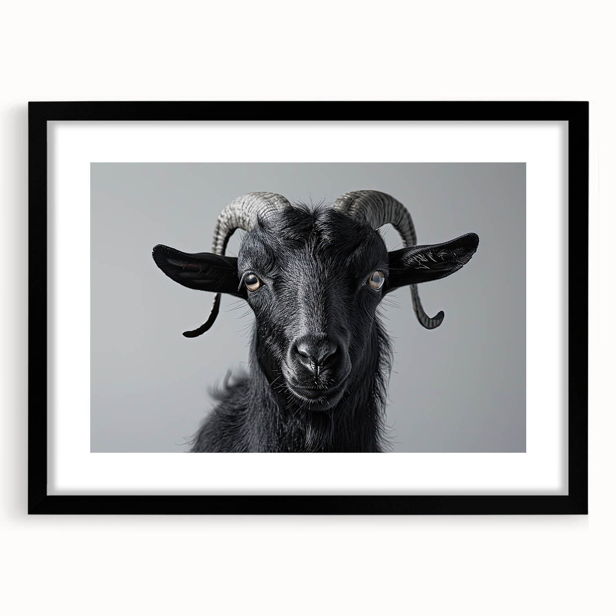 Black-framed wall art featuring a goat design from the "Animals a Wild Life" collection, elegantly matted to enhance its vibrant colors, perfect for animal lovers.