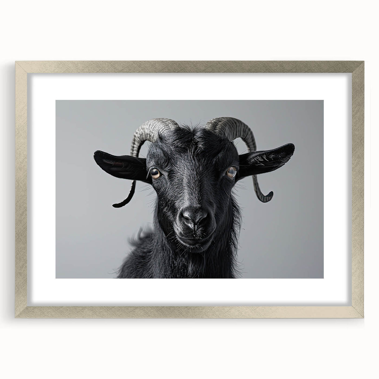 Framed wall art featuring a striking goat design from the 'Animals: A Wild Life' collection, showcasing intricate details and a silver mat, perfect for home decor.