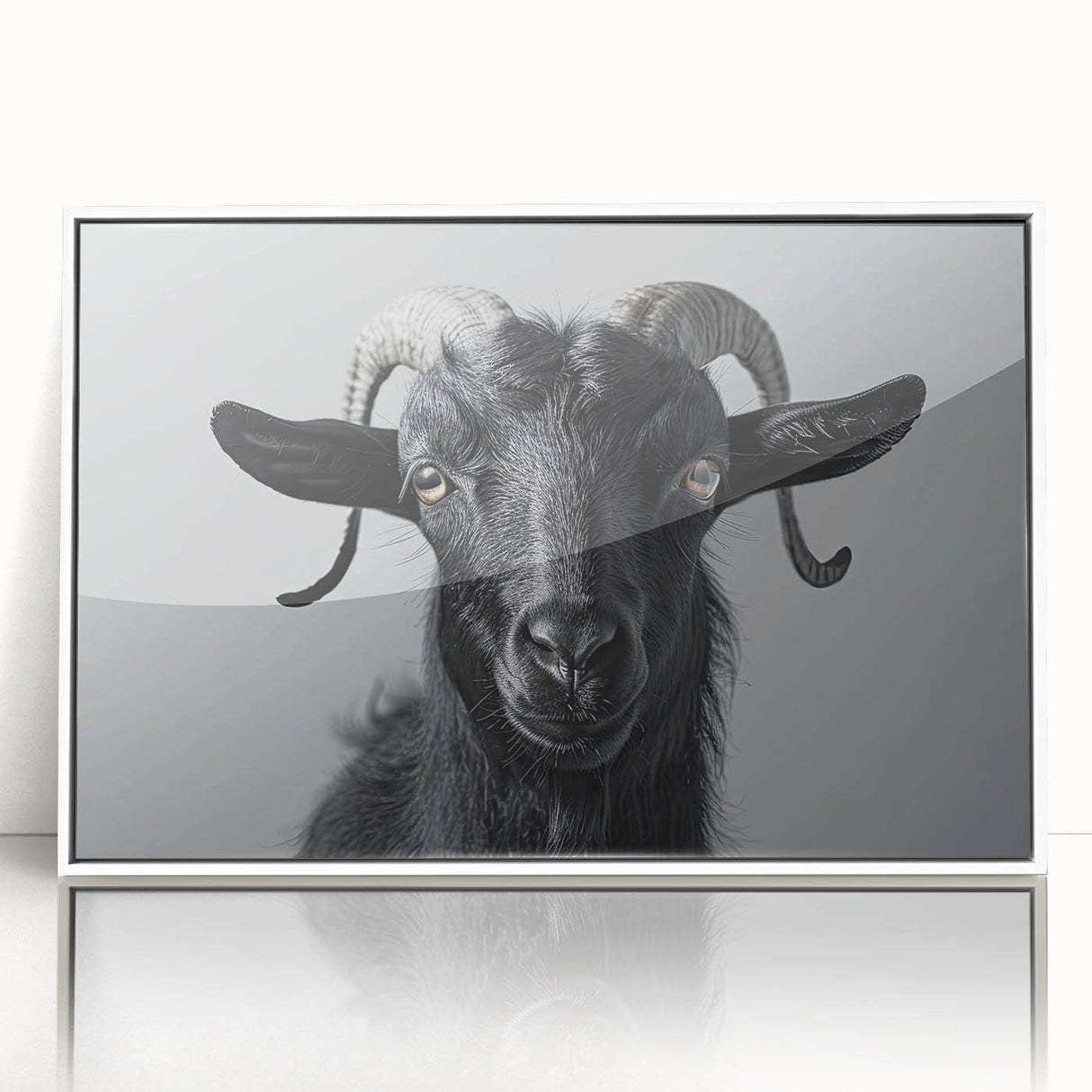 Framed acrylic wall art featuring a vibrant goat design from the 'Animals: A Wild Life' collection, showcasing intricate details against a white background. Ideal for enhancing modern home decor.