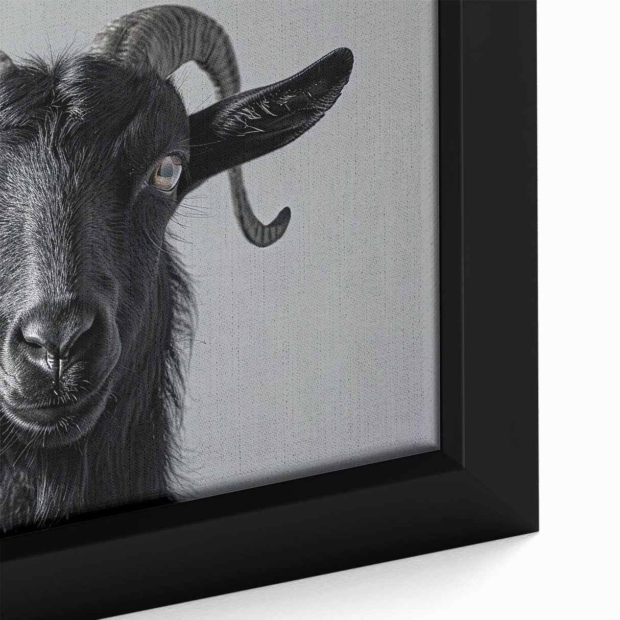 Close-up of a framed canvas featuring a vibrant goat design from the 'Animals: A Wild Life' collection, showcasing intricate details and rich colors suitable for wildlife decor.