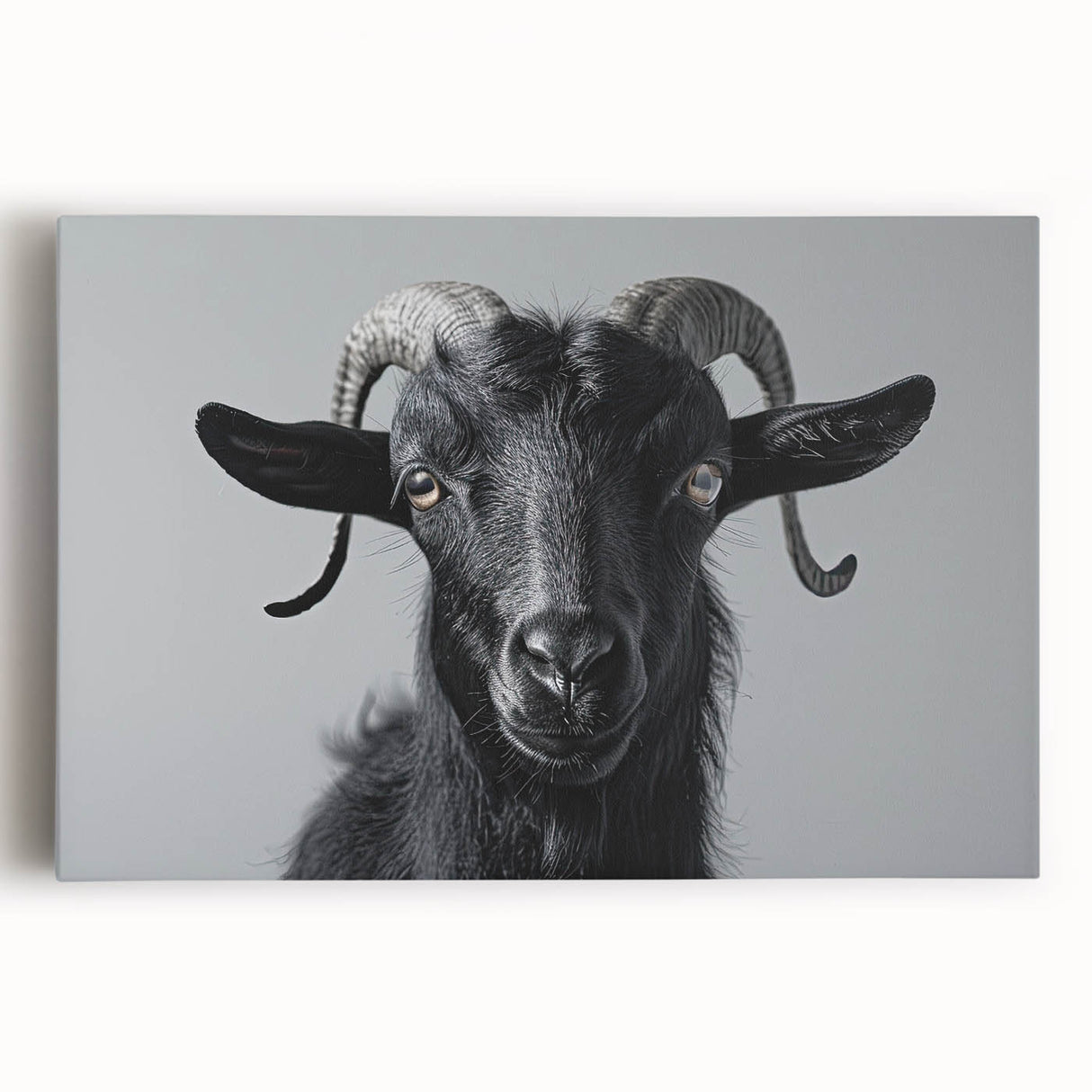 Stretched canvas wall art featuring a colorful goat design from the "Animals A Wild Life" collection, showcasing intricate details and vibrant hues in a contemporary style, perfect for animal lovers.