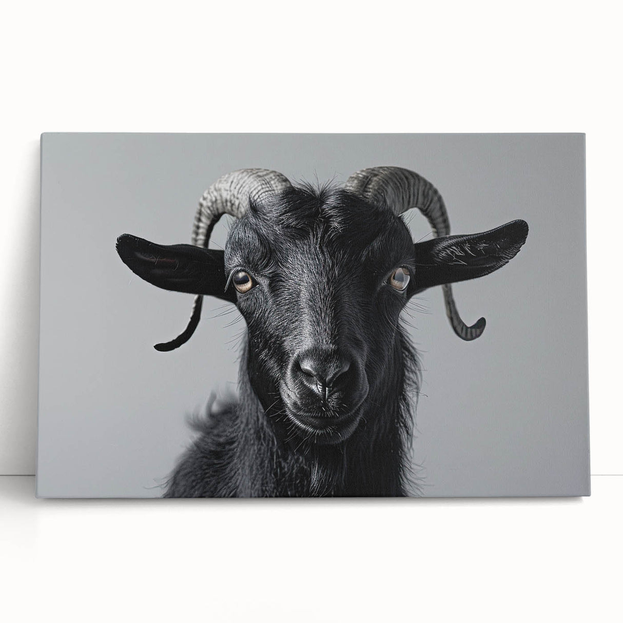 Stretched canvas wall art featuring a vibrant goat design in a wild animal theme, perfect for nature lovers and home decor enthusiasts. The artwork showcases intricate details and rich colors that enhance any living space.