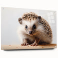 Hedgehog design wall art collection displayed in an acrylic glass frame, showcasing intricate details and vibrant colors, ideal for modern home decor.
