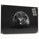 Acrylic glass wall art featuring a side view of a hedgehog design, showcasing intricate details and vibrant colors, ideal for wildlife enthusiasts and home decor.