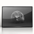 Framed wall art featuring a detailed hedgehog design set against a black background, showcasing vibrant colors and intricate patterns, ideal for wildlife enthusiasts.