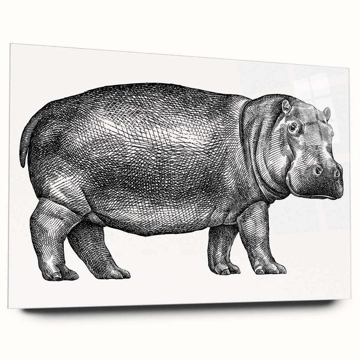 Hippopotamus wall art design displayed on acrylic glass, showcasing a vibrant side view of the animal in a natural setting, ideal for wildlife enthusiasts.