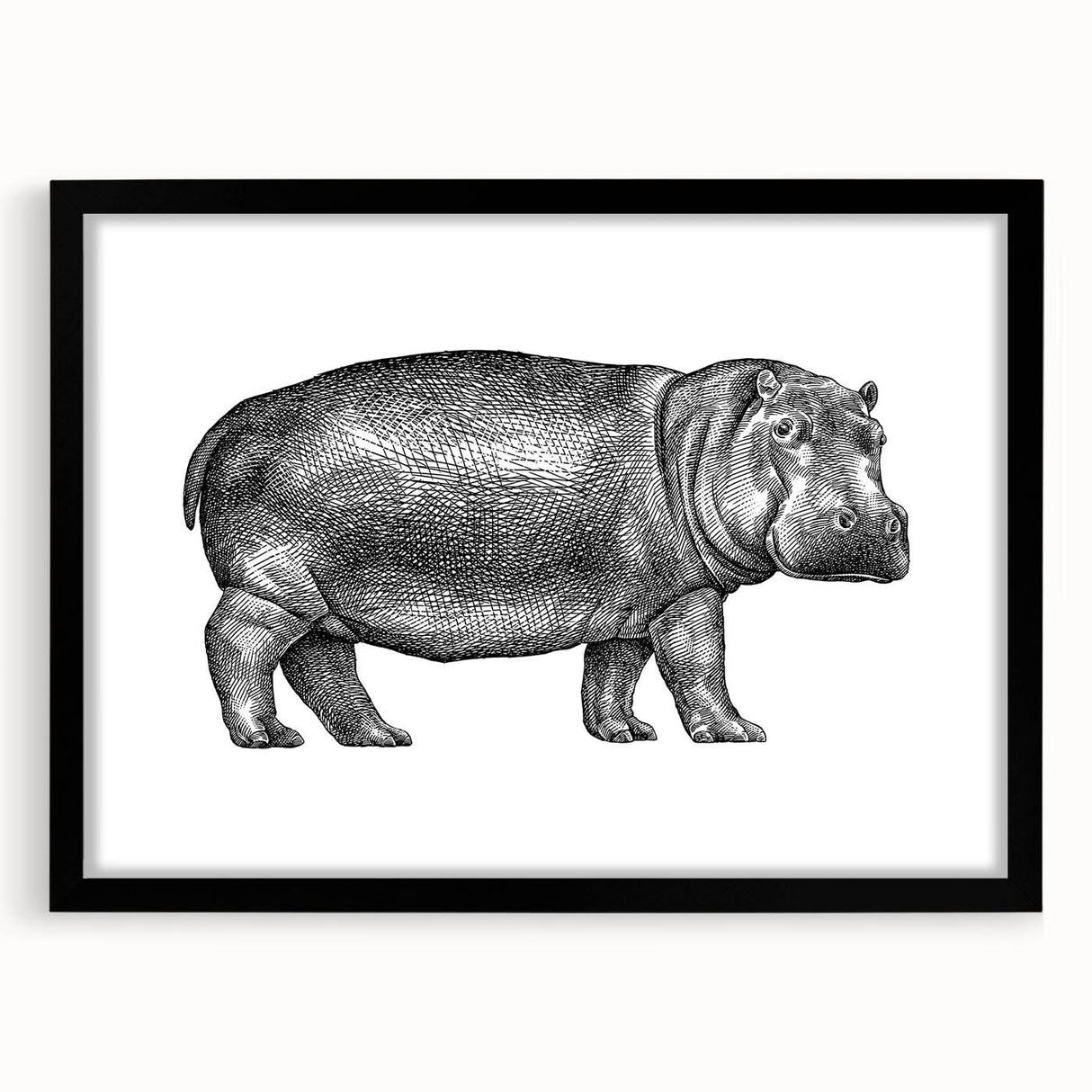 Hippopotamus-themed wall art design in a sleek black frame with matting, showcasing a vivid illustration of a hippo in a natural setting, perfect for wildlife enthusiasts.