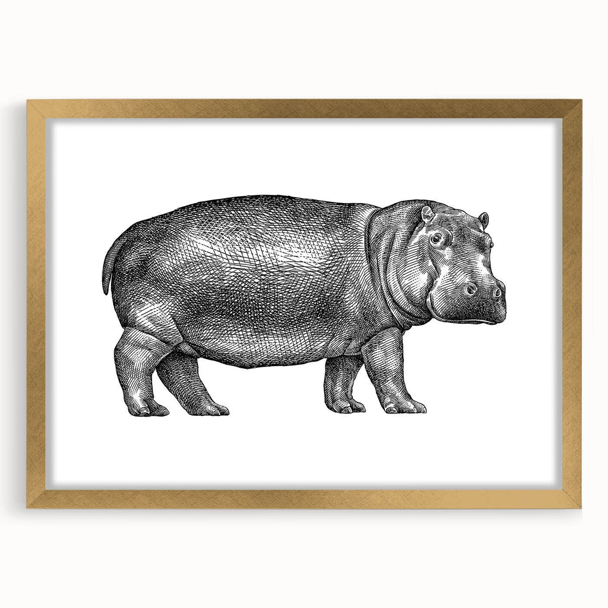 Hippopotamus wall art design featuring a gold frame and mat, showcasing a vibrant front view of the animal in a wild habitat, ideal for nature-themed decor.