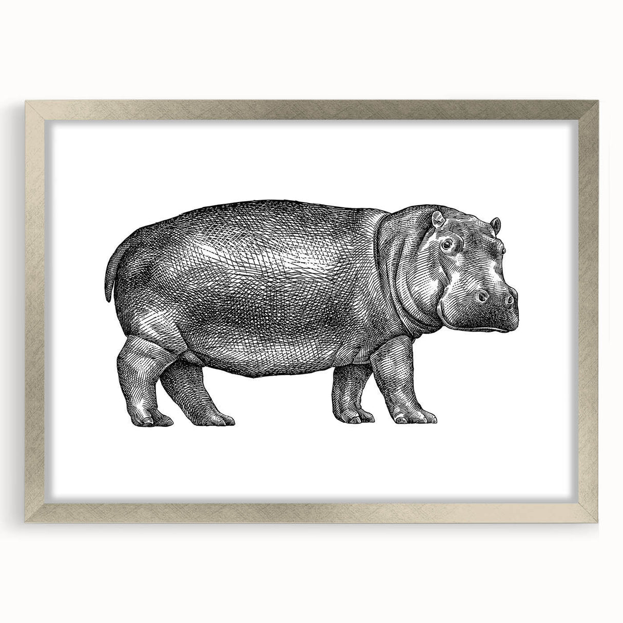 Framed wall art featuring a detailed design of a hippopotamus, showcasing a silver mat and sleek frame, perfect for enhancing wildlife-themed decor.