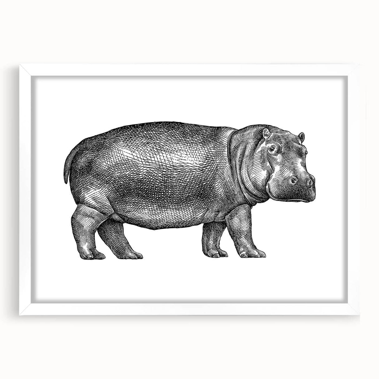Hippopotamus wall art design in a white frame with a mat, showcasing vibrant colors and intricate details, perfect for animal lovers' home decor.