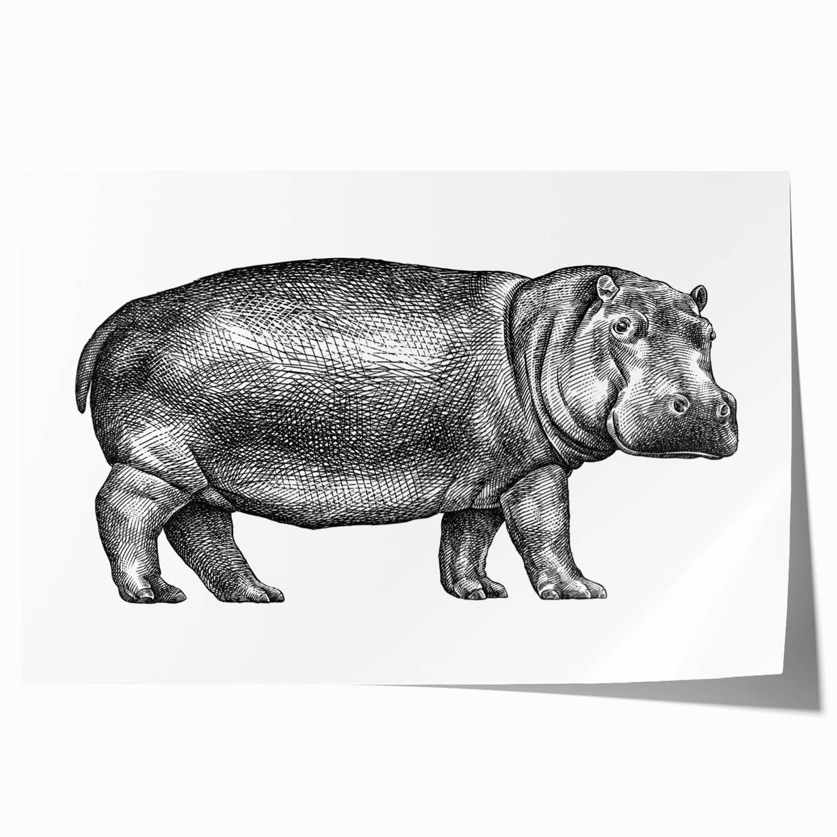 Colorful wall art print featuring a stylized hippopotamus design set against a vibrant jungle backdrop, ideal for animal lovers and home decor enthusiasts.