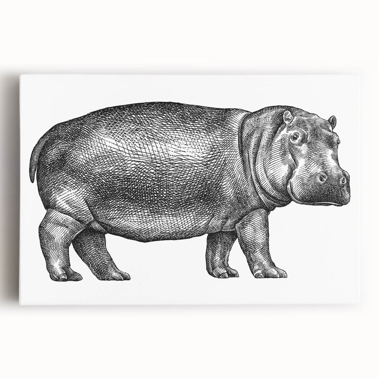 Vibrant stretched canvas wall art showcasing a frontal view of a hippopotamus in its natural habitat, perfect for wildlife enthusiasts and home decor.