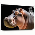 Acrylic wall art featuring a side view of a hippopotamus design, showcasing vibrant colors and intricate details, perfect for wildlife enthusiasts and home decor.