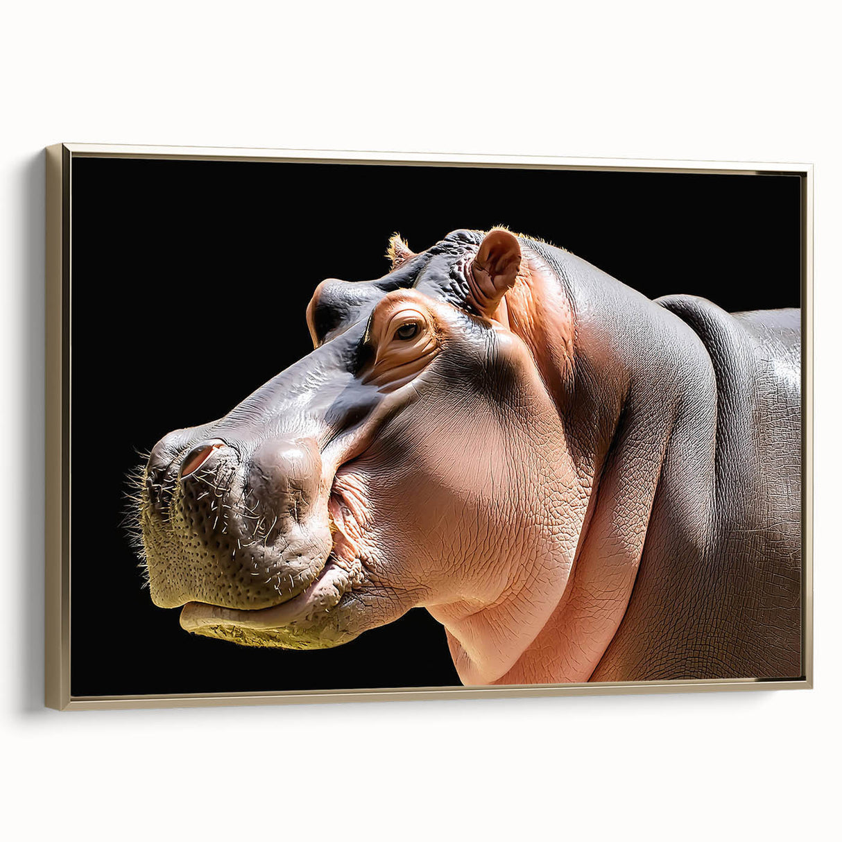 Framed canvas wall art showcasing a side view of a hippopotamus in a vibrant design, accented with gold tones, perfect for wildlife enthusiasts and home decor.