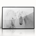 Framed acrylic wall art showcasing a striking black horse design, set against a minimalist background, perfect for equine enthusiasts and modern decor.