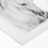 Elegant rolled canvas artwork depicting a wild horse design, showcasing vibrant colors and intricate details, ideal for animal lovers and home decor enthusiasts.