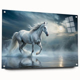 Acrylic glass wall art featuring a side view of a majestic horse design from the "Animals A Wild Life" collection, showcasing vibrant colors and intricate details, ideal for animal lovers and home decor enthusiasts.