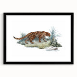 Jaguar wall art design in a sleek black frame with mat, showcasing a striking illustration of a jaguar in a vibrant jungle setting, perfect for wildlife enthusiasts.