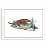 Jaguar wall art design framed with a white mat, showcasing vibrant colors and intricate details, perfect for animal-themed decor in modern interiors.
