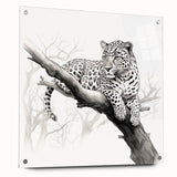 Jaguar wall art design featuring a striking acrylic glass finish, showcasing vibrant colors and intricate details, displayed with decorative pins on a wall.