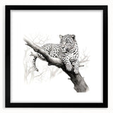 Black-framed wall art featuring a striking jaguar design in a wild-life theme, showcasing vibrant colors and intricate details, perfect for animal lovers and home decor.