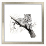Jaguar wall art design framed in silver with a mat, showcasing a striking wildlife theme. Perfect for animal lovers and home decor enthusiasts.