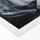 Vibrant rolled canvas showcasing a striking jaguar design in a wild life collection, featuring rich colors and intricate details, perfect for home decor.