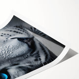 Vibrant rolled wall art print featuring a stunning jaguar design, showcasing intricate details and bold colors, perfect for wildlife enthusiasts and home decor.