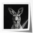 Kangaroo-themed wall art collection featuring vibrant colors and intricate designs, presented in a glossy finish, ideal for animal lovers and home decor enthusiasts.