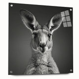 Side view of a vibrant acrylic glass wall art piece featuring a kangaroo design from the "A Wild Life" collection, showcasing intricate details and vibrant colors, perfect for animal lovers.