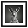 Kangaroo-themed wall art collection framed in black, showcasing vibrant wildlife design with a mat; ideal for nature lovers and home decor enthusiasts.