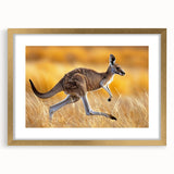 Kangaroo-themed wall art collection framed with a gold border, showcasing vibrant colors and intricate design details, ideal for wildlife enthusiasts' decor.