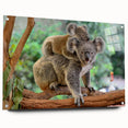 Acrylic glass wall art featuring a side view of a koala design from the "Animals A Wild Life" collection, beautifully detailed with vibrant colors and secured with pins for display.
