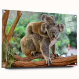 Acrylic glass wall art featuring a side view of a koala design from the "Animals A Wild Life" collection, beautifully detailed with vibrant colors and secured with pins for display.