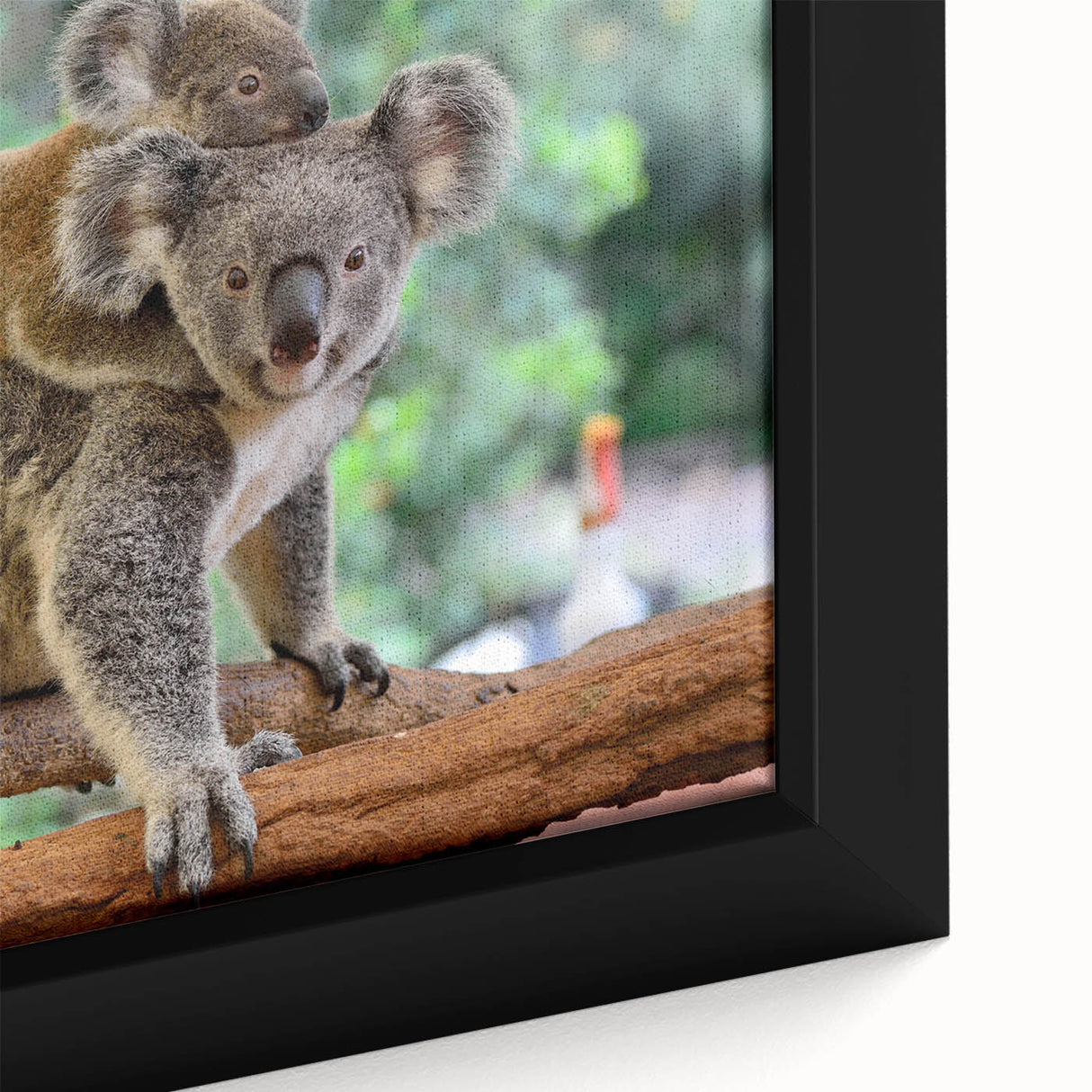 Close-up of a framed canvas wall art featuring a detailed koala design, showcasing its soft fur and expressive eyes, perfect for animal lovers and nature-themed decor.