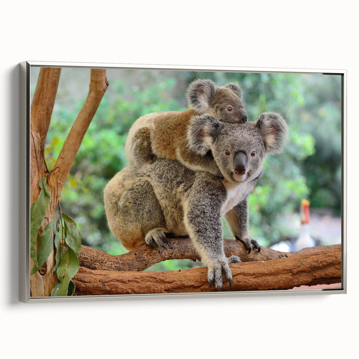 Framed wall art showcasing a silver side view of a koala design, perfect for animal lovers and nature-themed decor, adding a touch of wildlife elegance to any space.